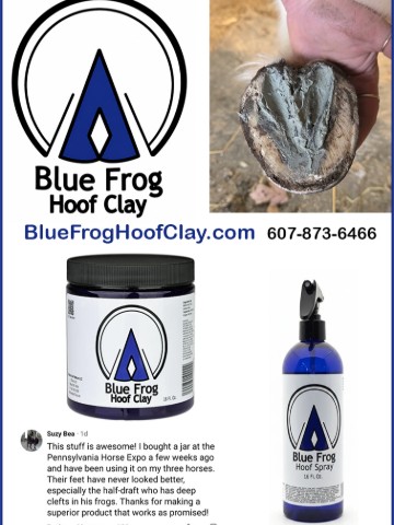 Blue Frog Hoof Clay