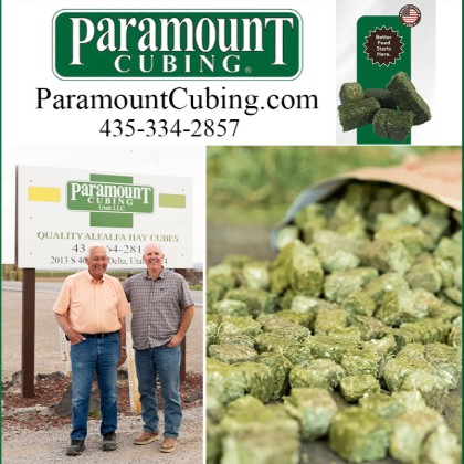 Paramount Cubing