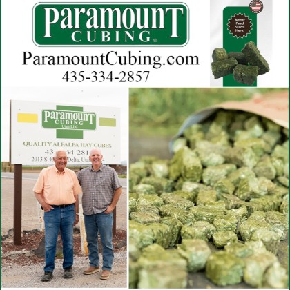 Paramount Cubing
