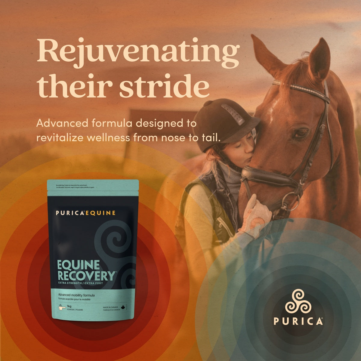 PURICA Recovery EQ equine joint and recovery supplement product display