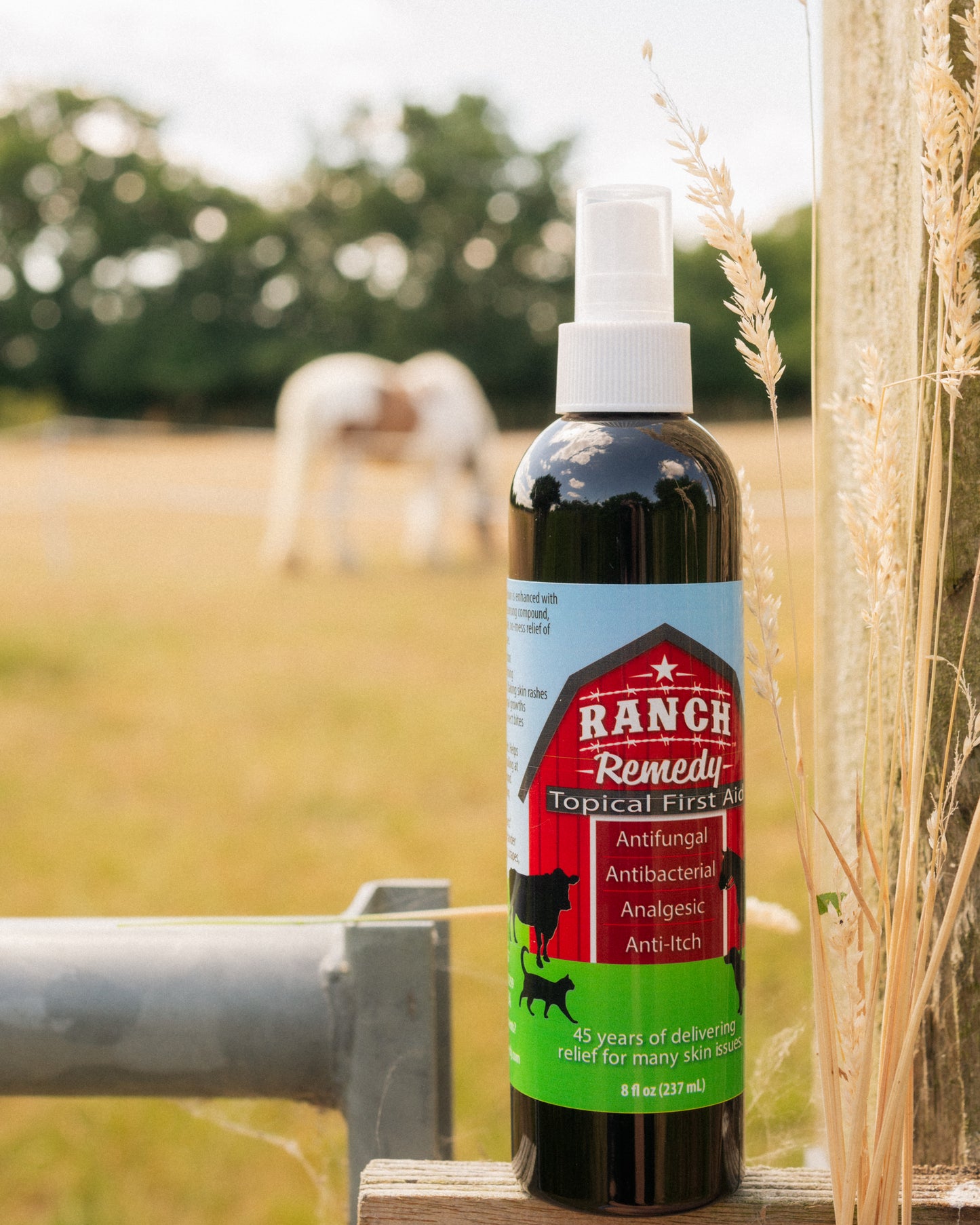 Ranch Remedy Topical First Aid spray for dogs cats and horses