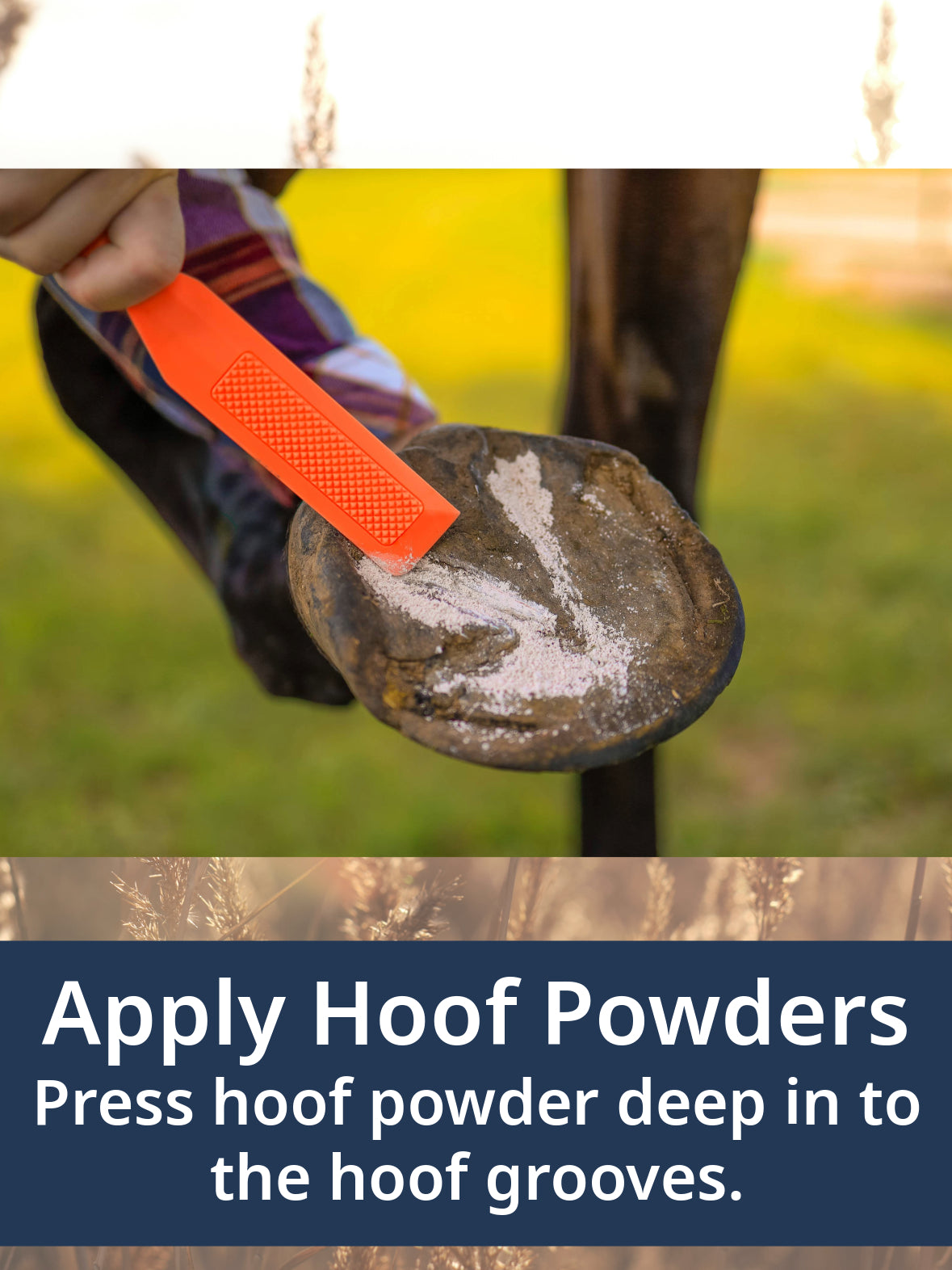 HoofWand hoof care tool features by Ranchers Preferred LLC