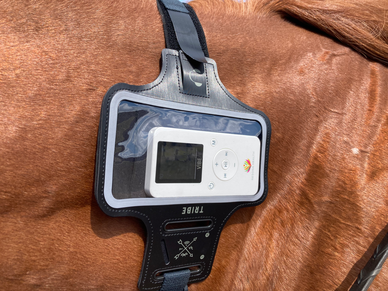 A horse owner using the Resona Health VIBE to support recovery and ease muscle soreness after work