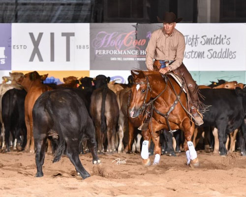 Richard Winters showing a reined cow horse, working a cow at an NRCHA event