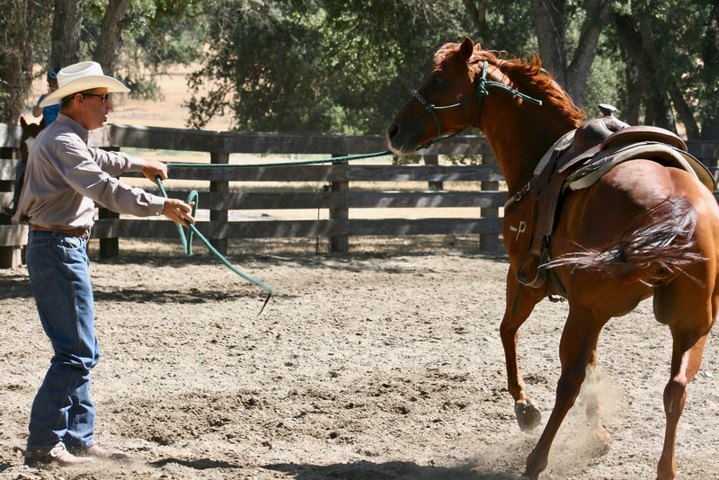 Richard Winters Clinics and Demonstrations