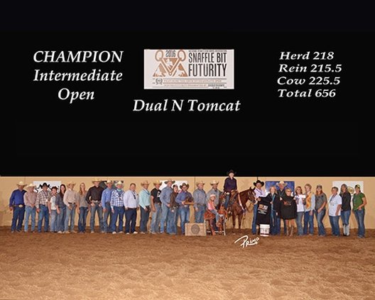 Richard Winters, 2016 NRCHA Snaffle Bit Futurity Intermediate Open Champion aboard Dual N Tomcat