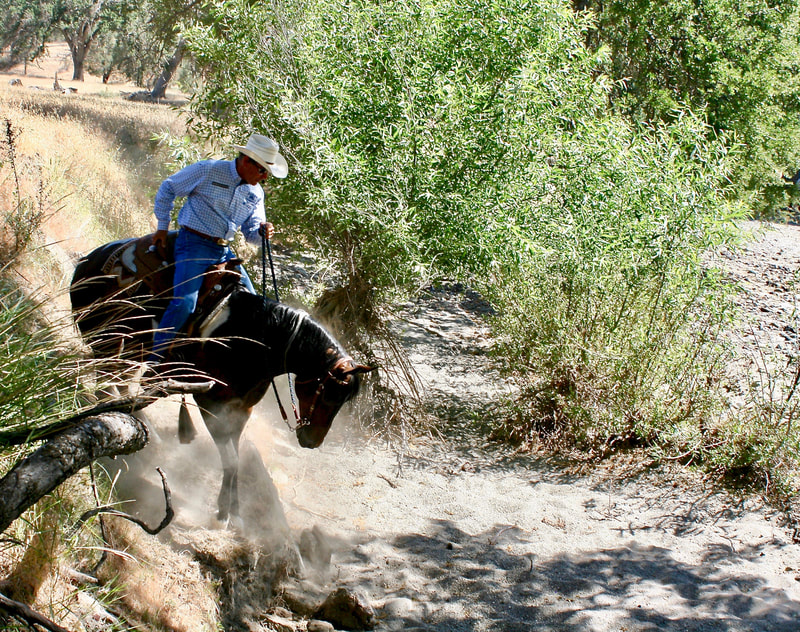 Richard Winters rides a young horse down a steep trail, building the confidence and trust that anchor his horsemanship method