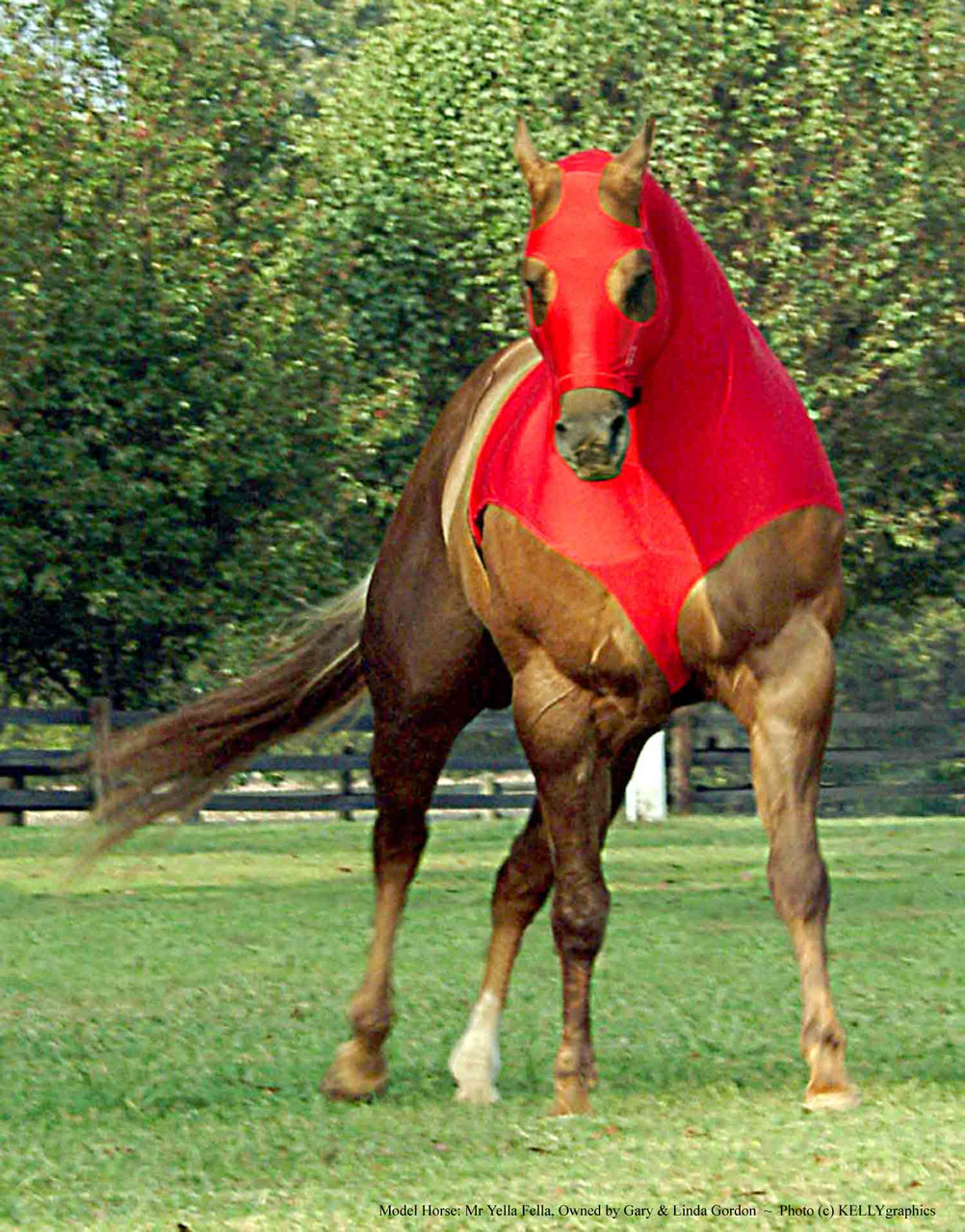 10 oz. NFL Tough ROBINHOODS stretch Lycra Spandex horse hood with armored zipper