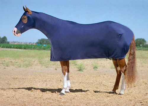 Robinhoods Friar Tuck 6 oz. Lycra full body horse cover