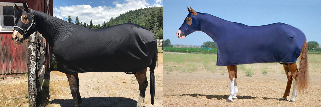 Horses modeling a black Robinhoods stretch sheet and a navy full-body cover outdoors