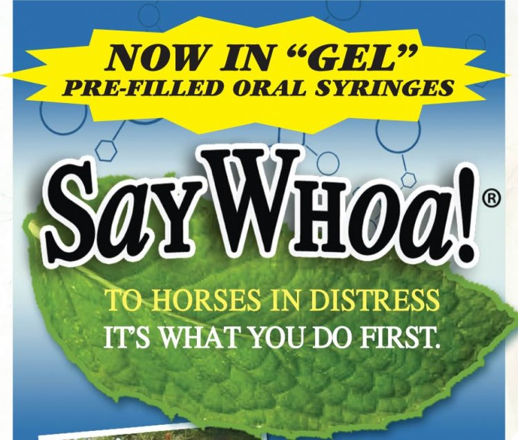 SayWhoa! gel formula that promotes normal digestive flow in horses