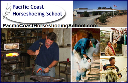 Pacific Coast Horseshoeing School with Bob Smith