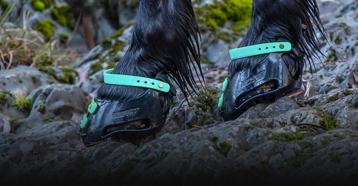 Close-up of two Scoot Boots with mint-green straps gripping wet rocky terrain