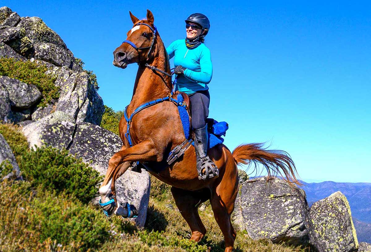 Rider on a chestnut horse in Scoot Boots climbing a rocky mountain ridge on a clear day
