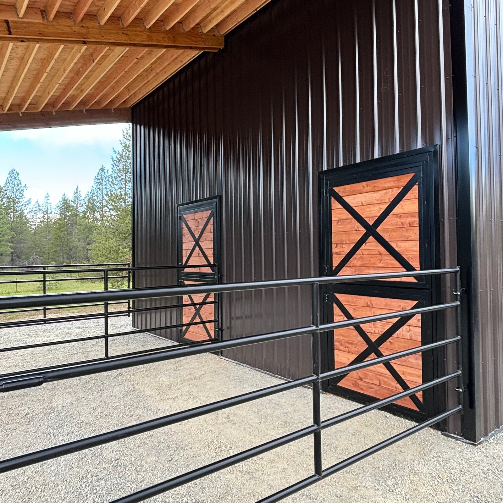 A black Selkirk barn with steel pipe panels enclosing the runs outside