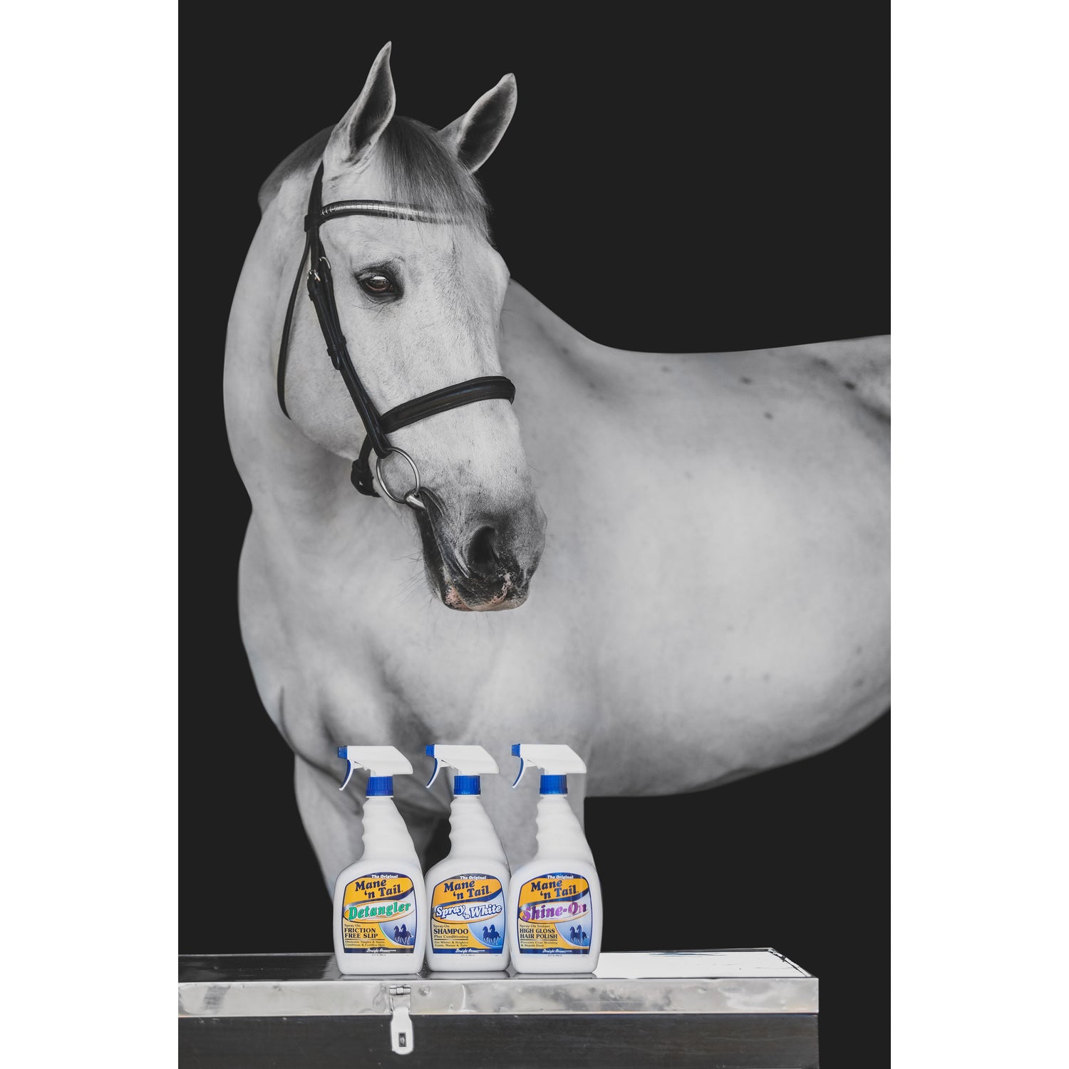 Equestrian rider Caroline Martin with horse lifestyle photo on Mane 'n Tail Equine by Straight Arrow Products