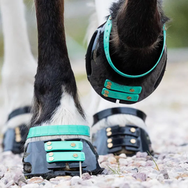 Protective horse hoof boots offered by Slypner Gear