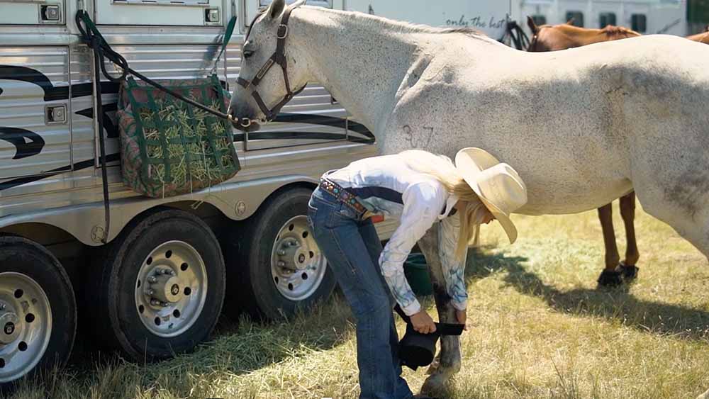 Soft Ride boots protecting a horse's hooves during transport in a trailer