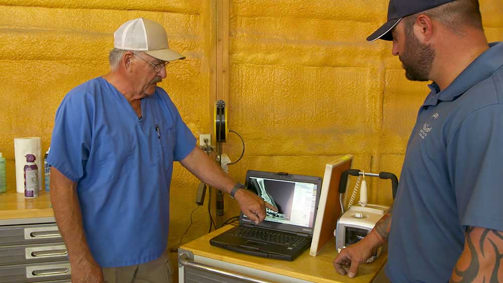Equine veterinarian reviewing a hoof radiograph on a laptop while discussing SoftRider center-loading shoeing