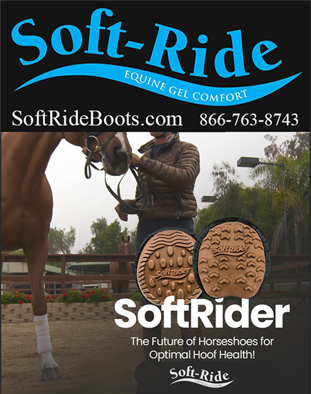 The SoftRider Next Generation Horse Shoe