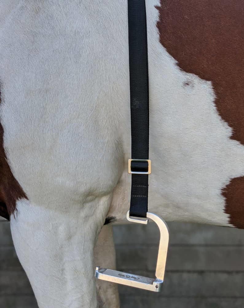 Solo-Ride portable mounting aid fitted on a horse shoulder and withers