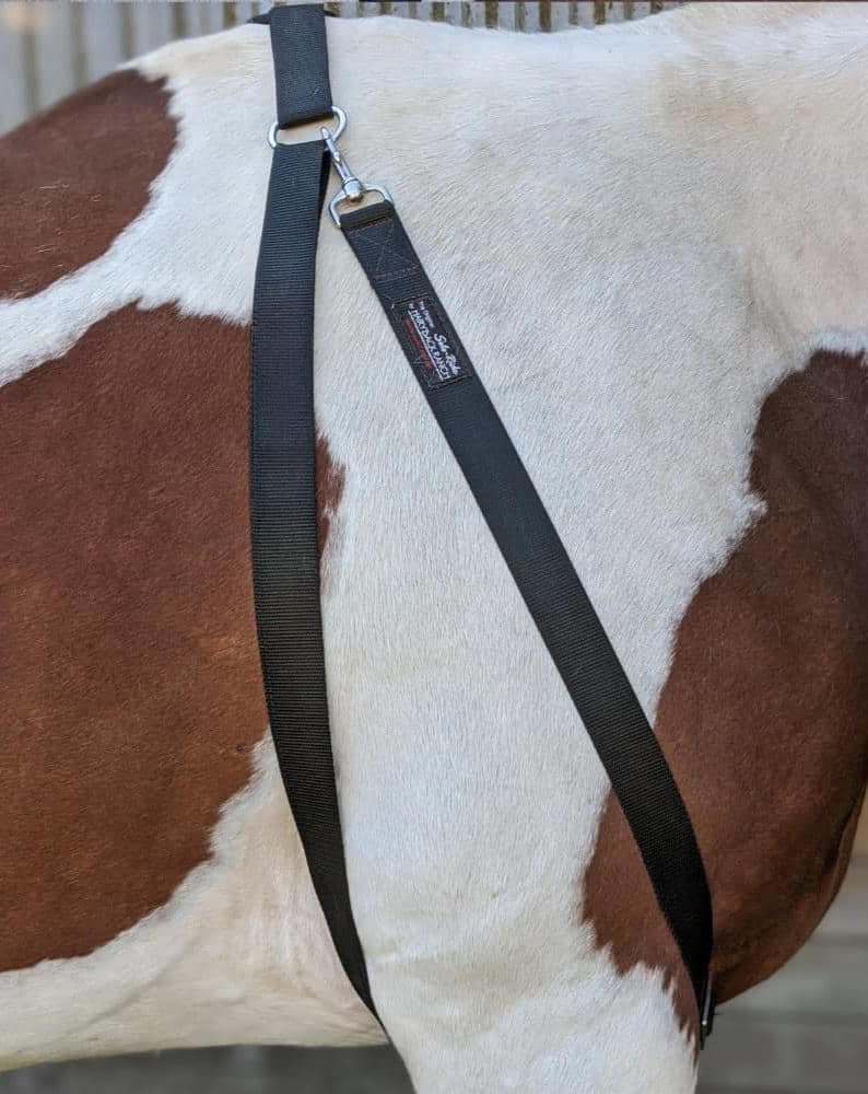 Solo-Ride mounting aid strap and D-ring detail by Hairy Back Ranch