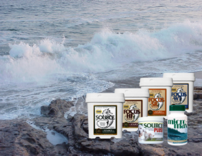 Ocean shoreline where SOURCE harvests nutrient-rich seaweeds