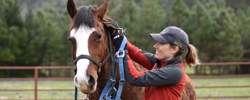 Woman in a ball cap and fleece wearing SSG work and ranch gloves while bridling a bay horse at the fence line