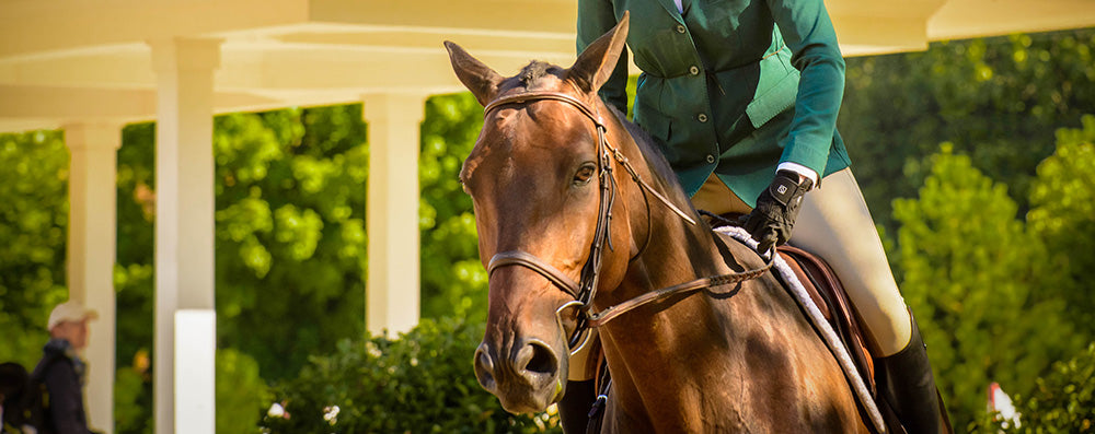 Rider in a teal show coat holding the reins of a bay horse in an English bridle at a show ground