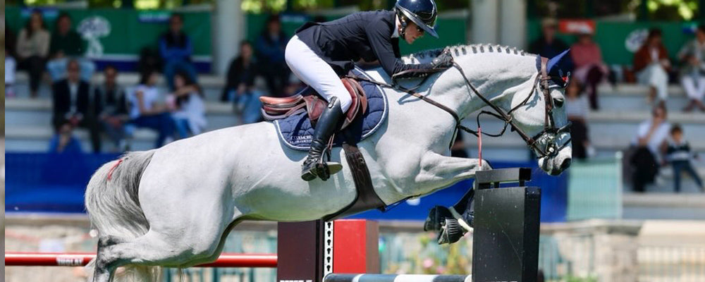 Grand prix show jumper clearing a fence wearing SSG gloves