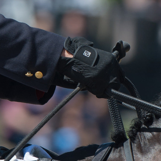SSG show glove holding double reins — dressage rein contact close-up