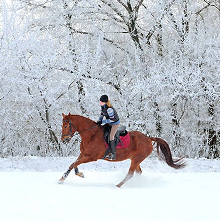 Rider cantering through snowy trees in winter SSG riding gloves