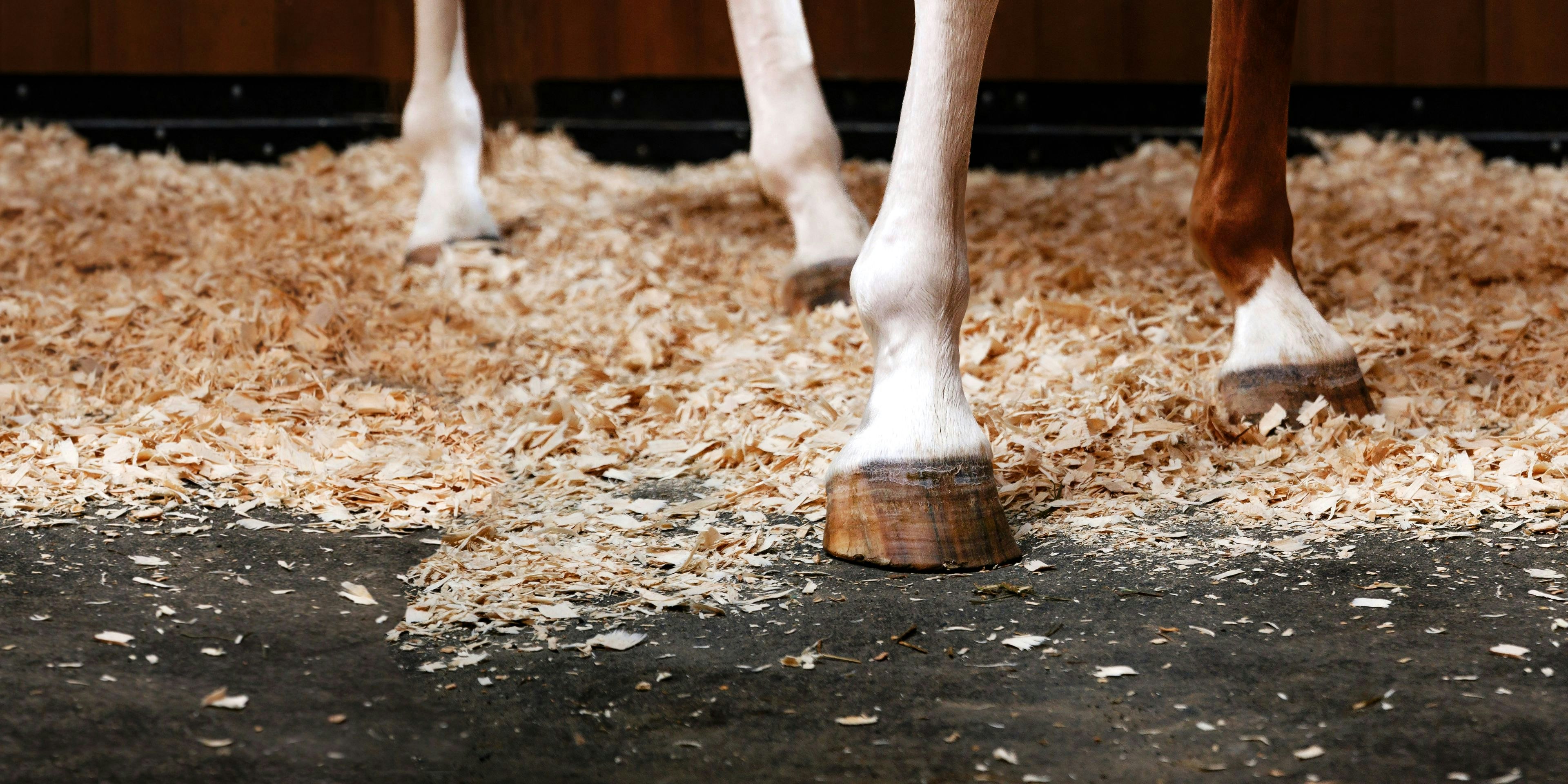 Close-up of StableComfort waterproof one-piece stall floor cover
