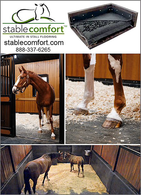 Stable Comfort™ Ultimate In Stall Flooring