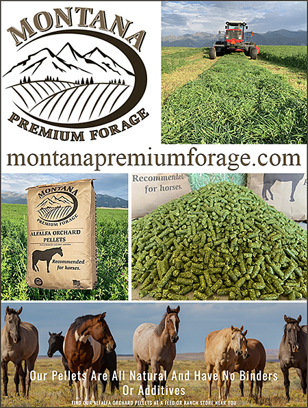 Alfalfa/ Orchard Grass Pellets by Montana Premium Forage