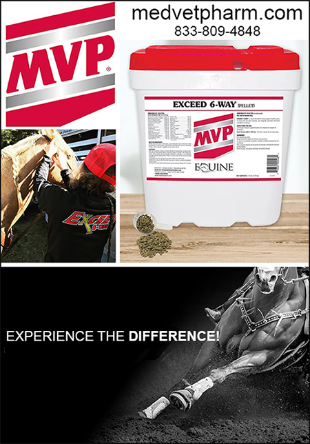 Exceed 6-Way™ by  By MVP