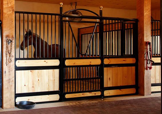 A horse and two dogs standing in a Sunset Valley Metalcraft barn aisle looking out toward pasture