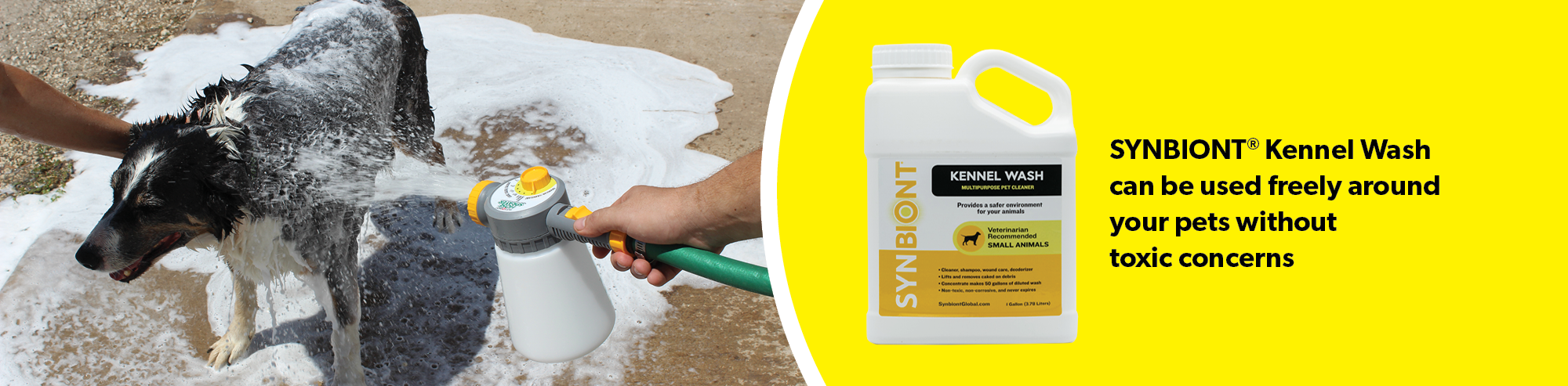 An animal being gently washed down outdoors, illustrating the kind of clean, low-stress care Synbiont products are designed to support