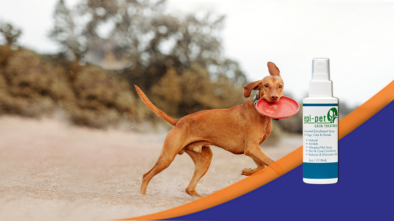 Epi-Pet Skin and Coat care product shown alongside an active animal running outdoors in natural light