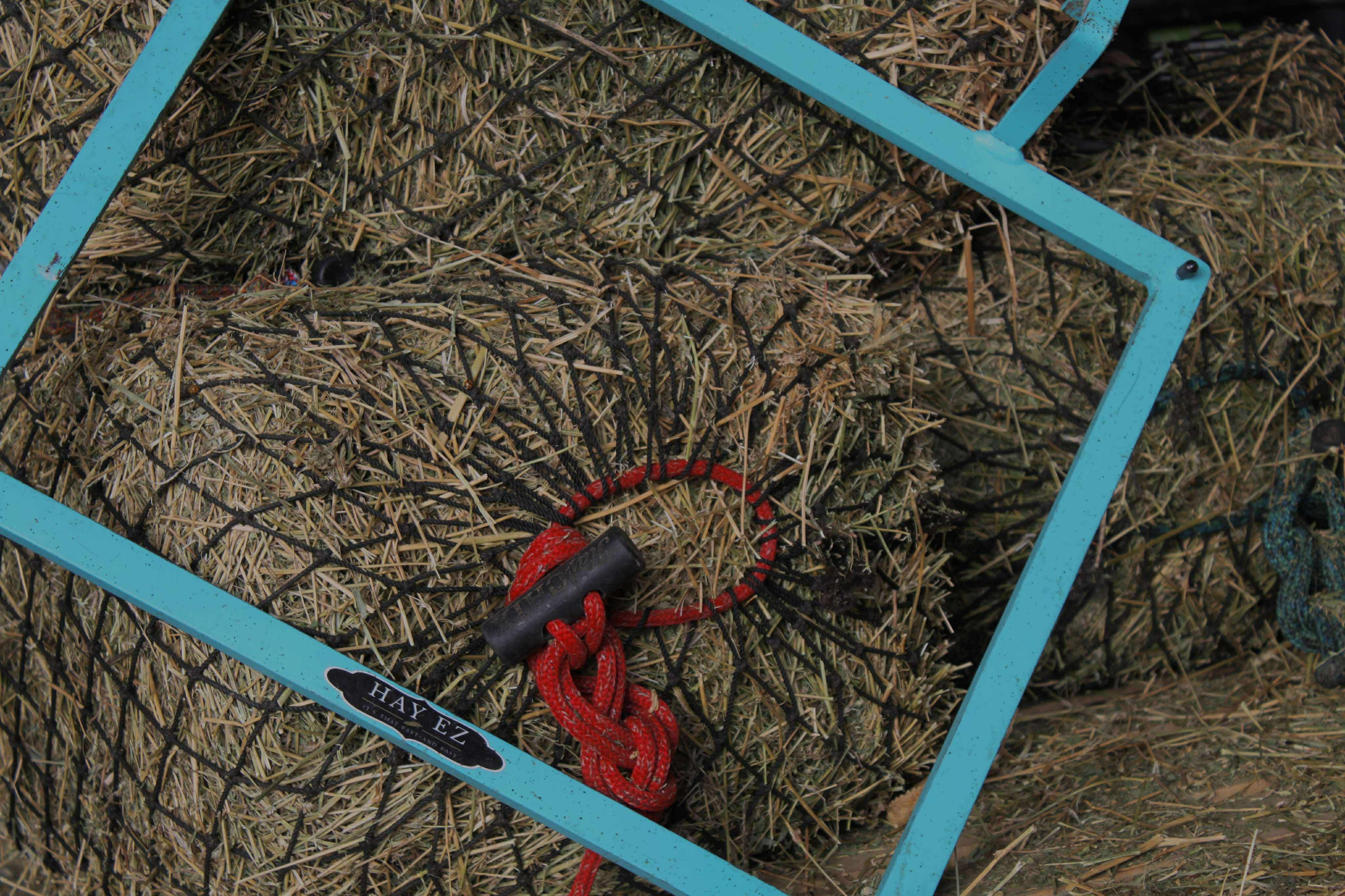 Top-down view of a hay net held in a teal Hay-EZ stand and packed full of fresh green hay