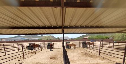 Horse eating from The HayBox automatic timed hay feeder