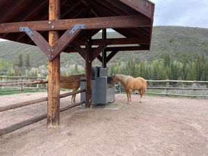 HAYBOX Single Mini automatic hay feeder for one horse
