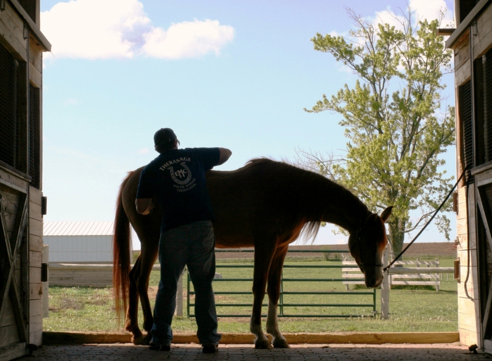 Therasage EMC hands-on bodywork demonstration on a horse