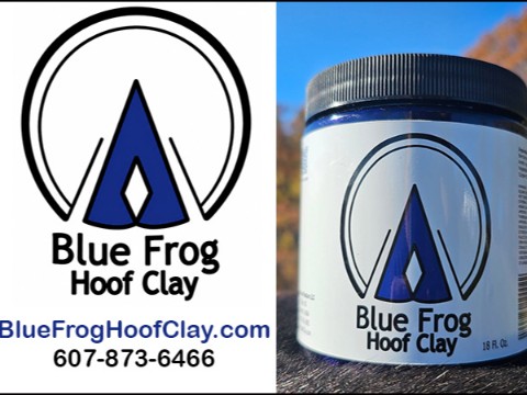 Blue Frog Hoof Clay — Health (Hoof care made for mud muck thrush and everyday barn life)