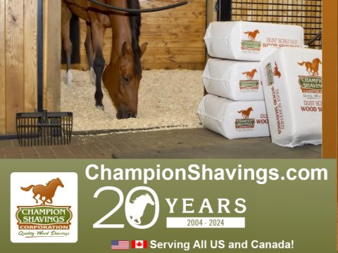 Champion Shavings Corporation — Barns (Champion Shavings When only the BEST will do for your horses, Champion Shavings…)