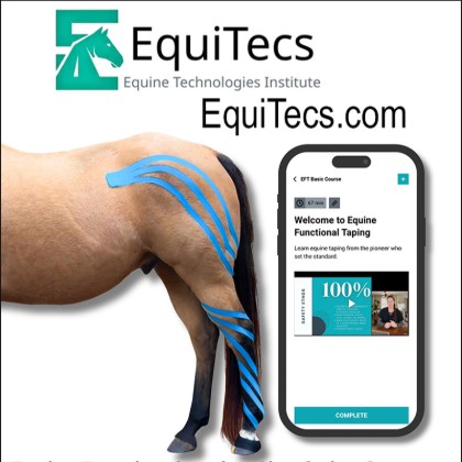 EquiTecs — Pain Relief For Horses (Equine Technologies Institue)