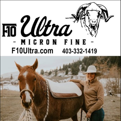 Happy Valley Saddle Pads — Tack (Wool saddle pads built for comfort without compromise)
