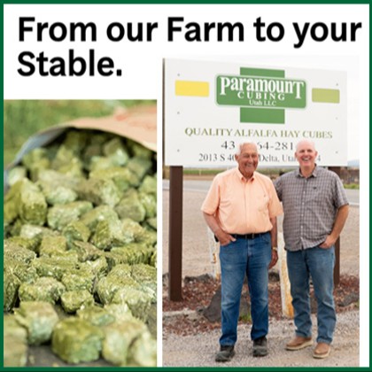 Paramount Cubing — Feeds For Horses (Farm-fresh horse forage with less waste and easier feeding)