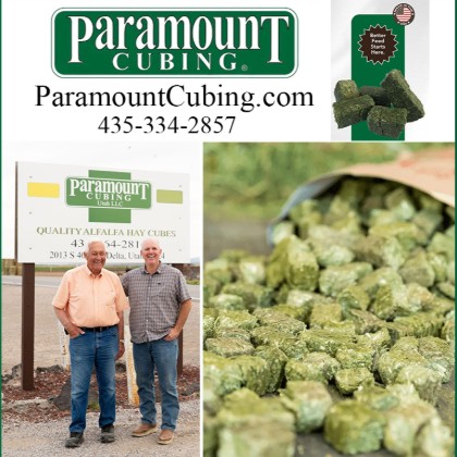 Paramount Cubing — Feeds For Horses (Farm-fresh horse forage with less waste and easier feeding)