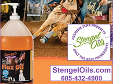 Stengel Oils Premium Flax Products — Health (Cold-pressed Omega-3 flax oil for healthier horses from the inside out)